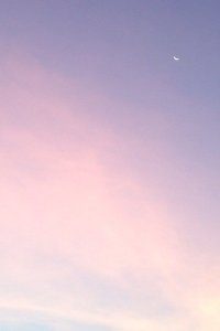 澳大利亚男篮连胜，傲视群雄