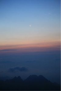 卡迪夫城主帅放言升级目标，全力争取联赛前列