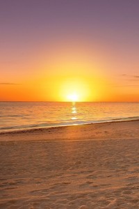 巴塞罗那客场-力克桑德兰，小组出线在望