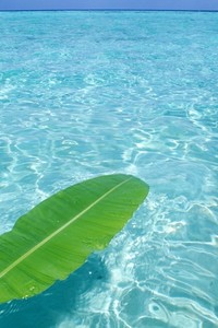 尤文图斯遭逆转，米兰双雄或终结统治