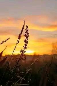 西班牙队备战欧洲巅峰对决，全队备战