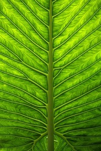 多特蒙德队员对今晚的比赛充满信心：黑黄军团再出征