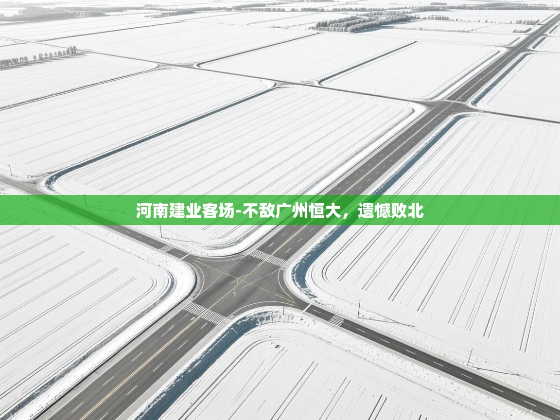 河南建业客场-不敌广州恒大，遗憾败北  第2张